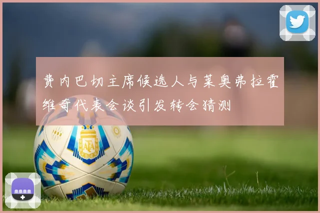 费内巴切主席候选人与莱奥弗拉霍维奇代表会谈引发转会猜测