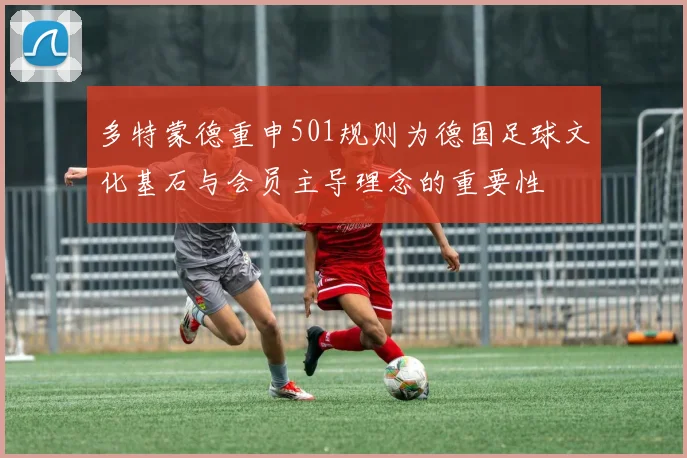 多特蒙德重申501规则为德国足球文化基石与会员主导理念的重要性