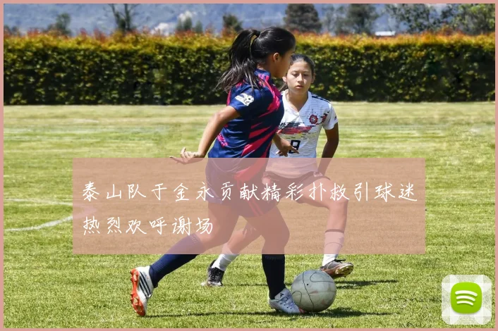 泰山队于金永贡献精彩扑救引球迷热烈欢呼谢场