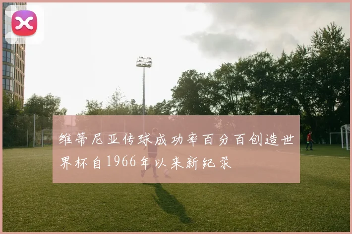 维蒂尼亚传球成功率百分百创造世界杯自1966年以来新纪录