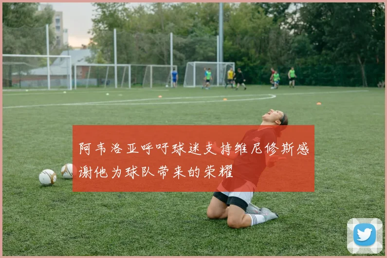 阿韦洛亚呼吁球迷支持维尼修斯感谢他为球队带来的荣耀